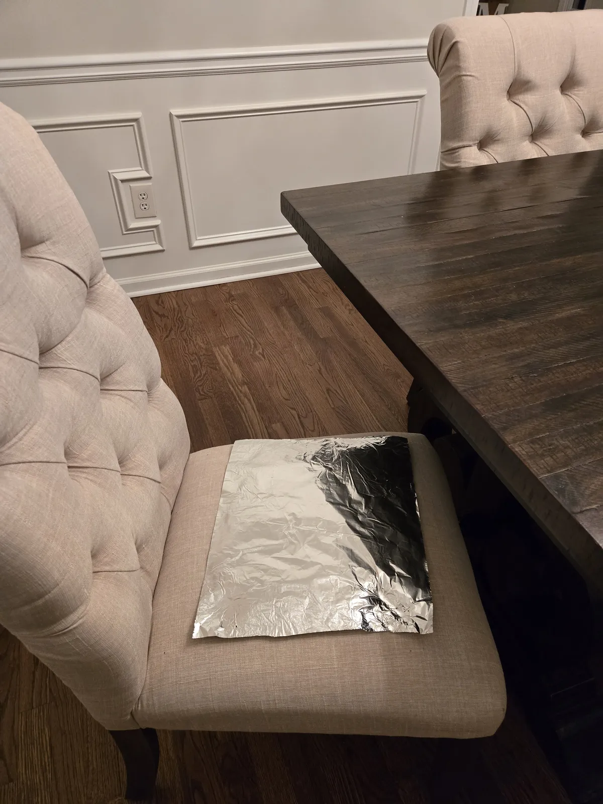 Aluminum foil on one of our dining chairs — not pretty, but cats won't go near it