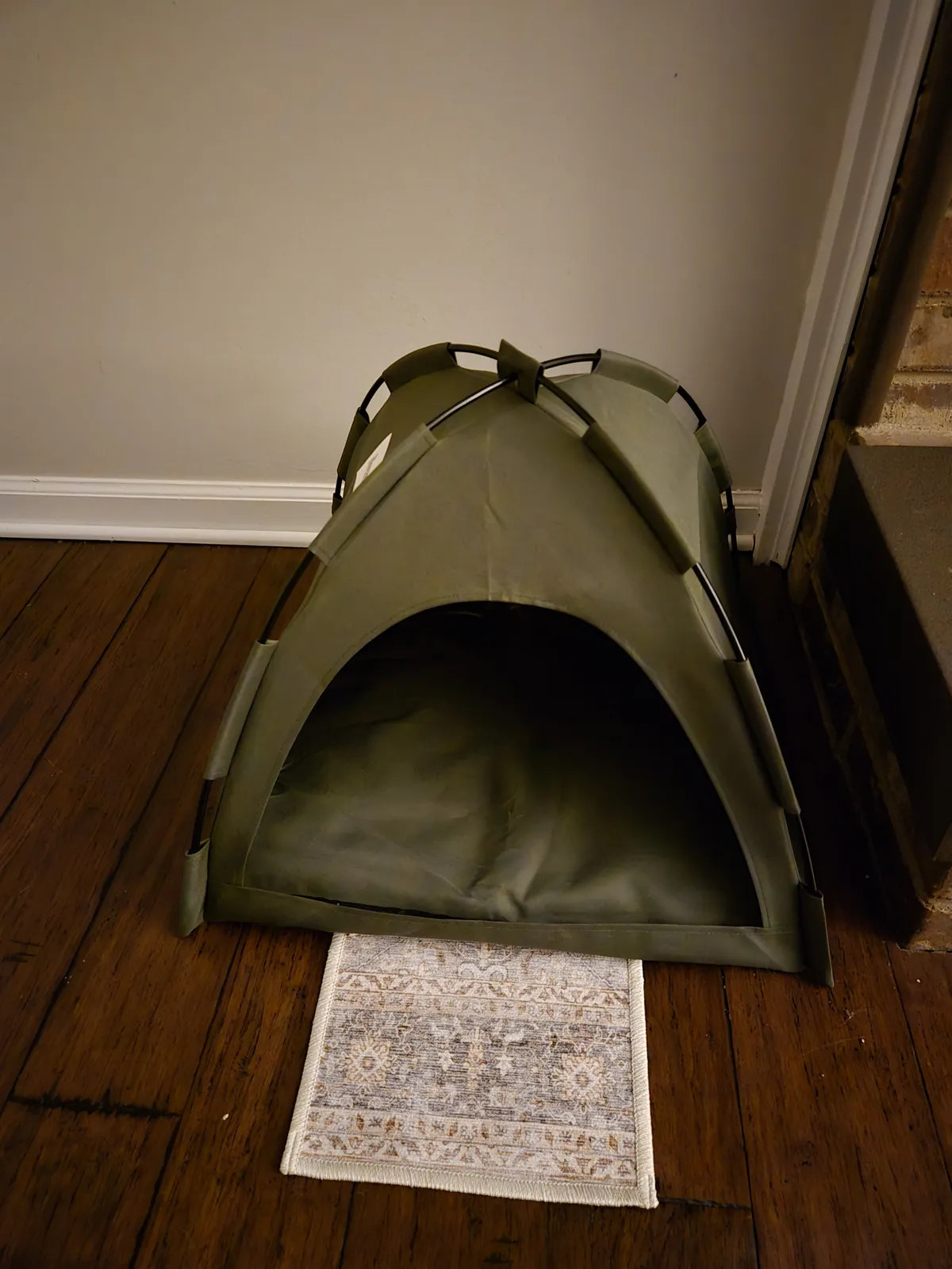 Our cat tent set up with a carpet sample square as a doormat — the cats walked right in on day one
