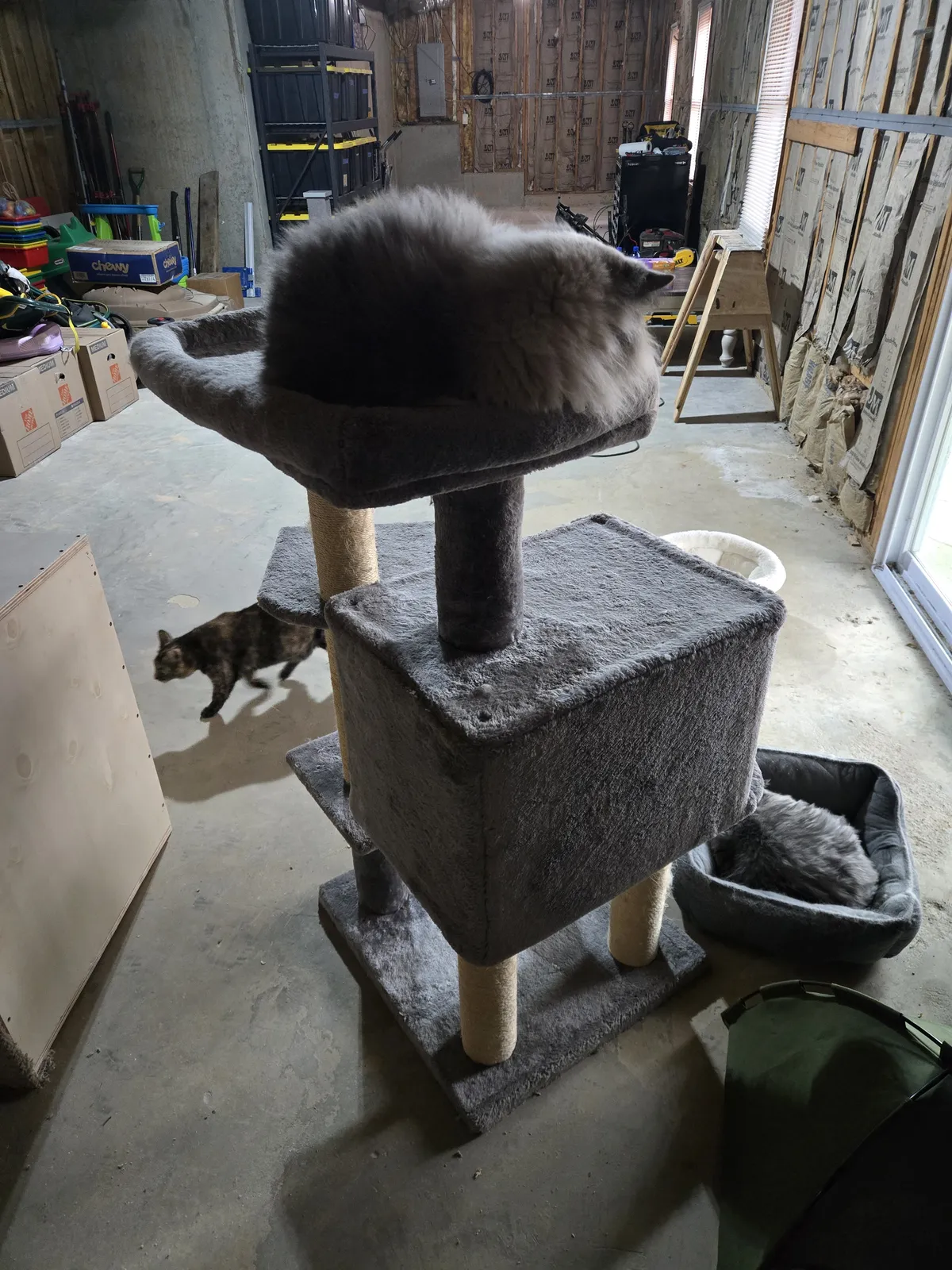 When we moved in, the cats went straight to the tree in the basement — two on the tree, Billy on a cat bed below. Even when he uses a bed, he's still right next to the tree.
