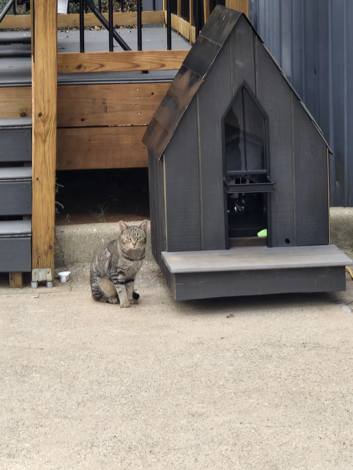 A custom-built wooden cat house we made for a friend's outdoor cat — sturdier and better-looking than a fabric shelter