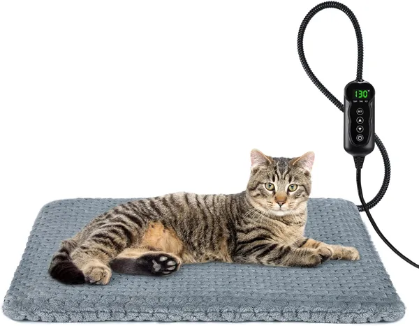 INVENHO heated cat bed budget option