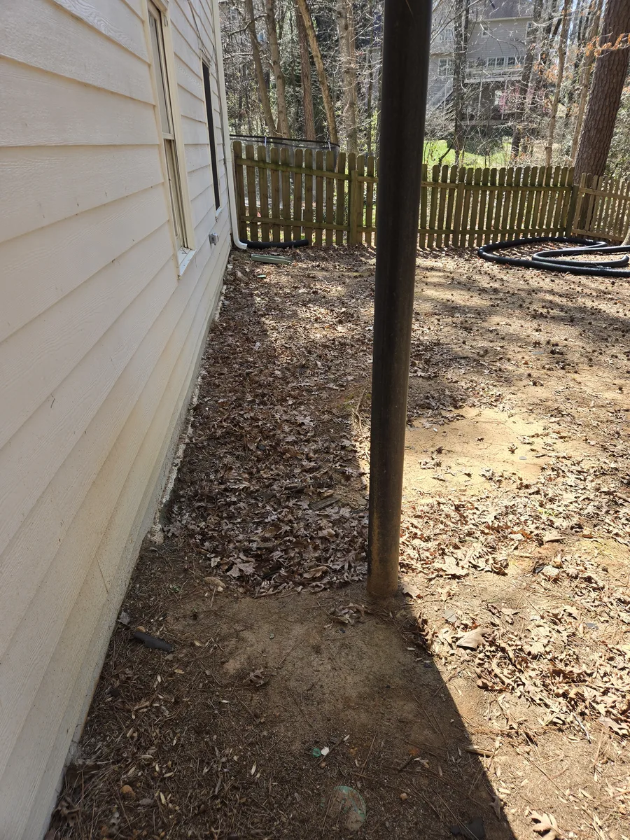 The yard when we moved in — years of neglect from being a rental property